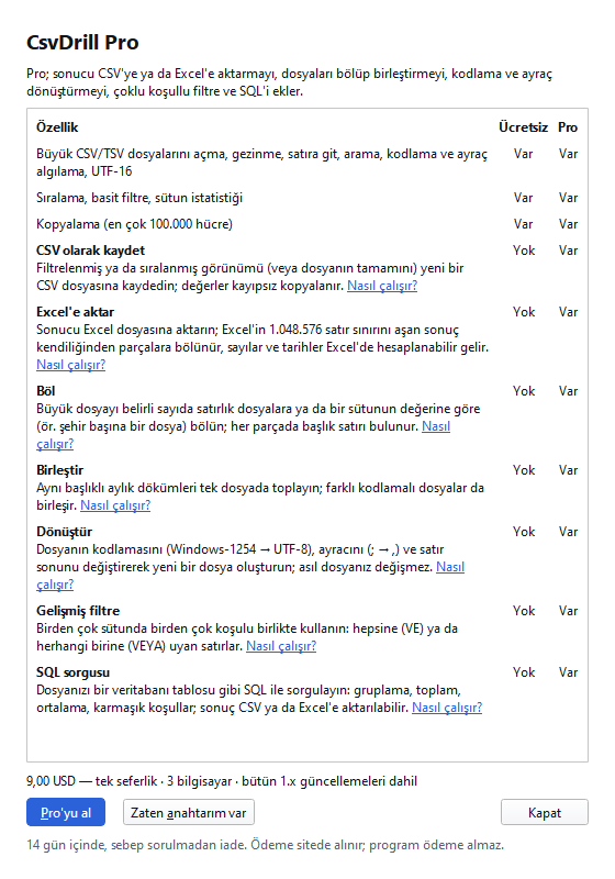 Pro sayfası: Ücretsiz/Pro karşılaştırması, tek seferlik fiyat ve Pro'yu al düğmesi.
