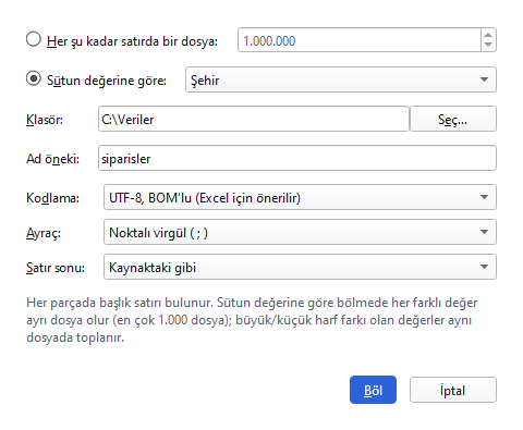 Dosyayı böl penceresi (Pro): Şehir sütununun değerine göre bölme.