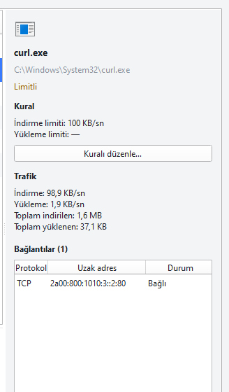 Bilgi paneli: seçili programın kuralı, toplam trafiği ve açık bağlantıları