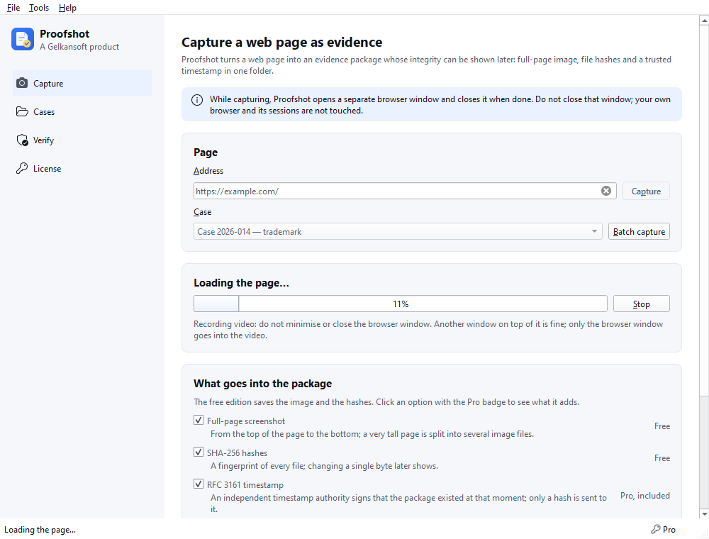 Capture in progress: progress bar and the reminder not to minimise the browser window.